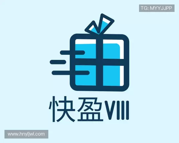 了解快盈VIII